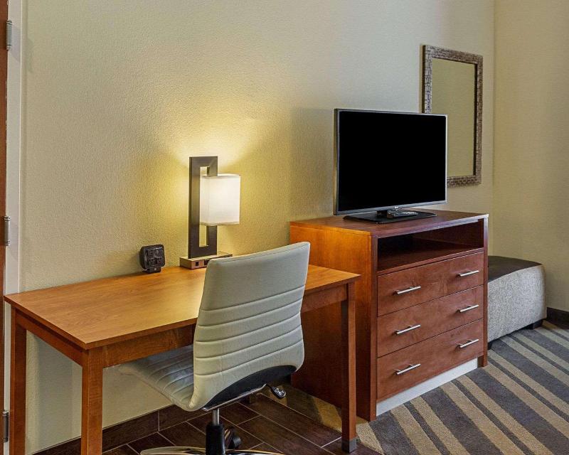 Comfort Suites South Gonzales image
