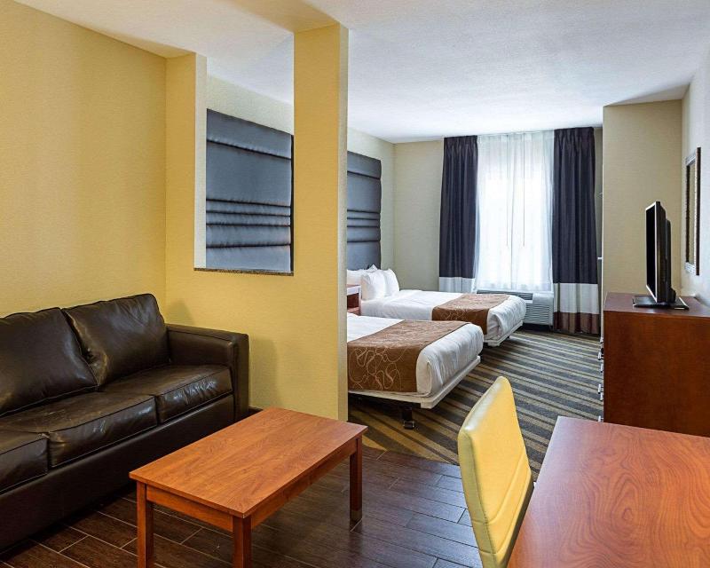 Comfort Suites South Gonzales image