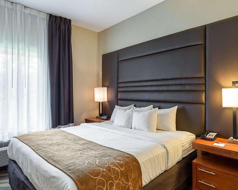 Comfort Suites South Gonzales image