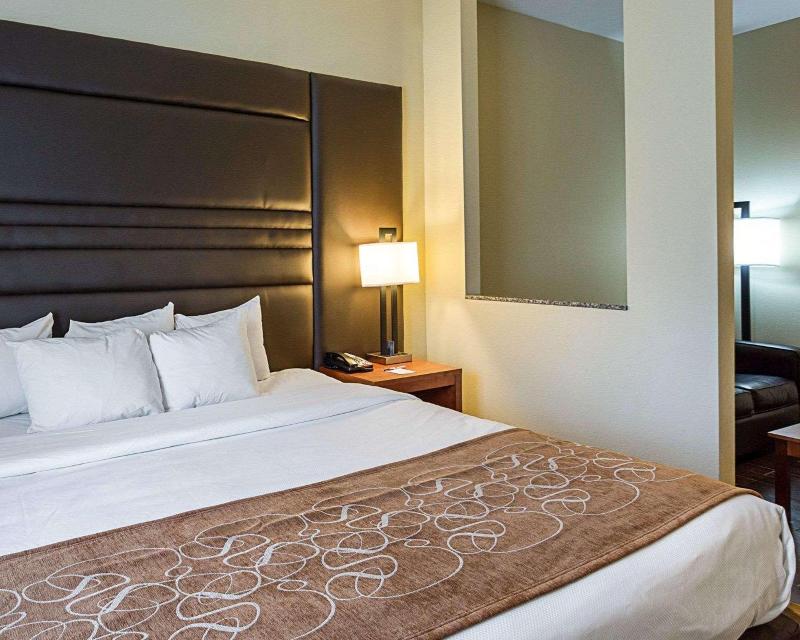 Comfort Suites South Gonzales image