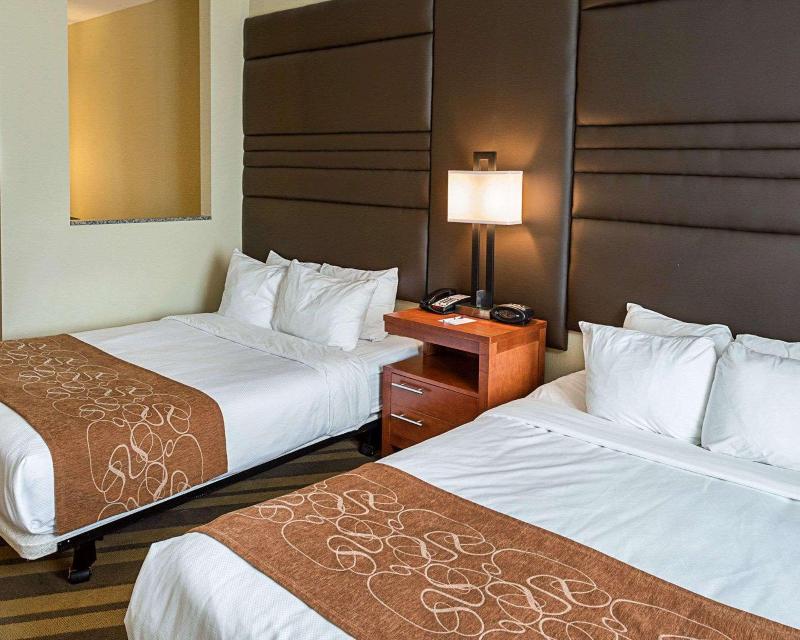 Comfort Suites South Gonzales image