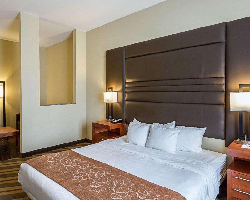 Comfort Suites South Gonzales image