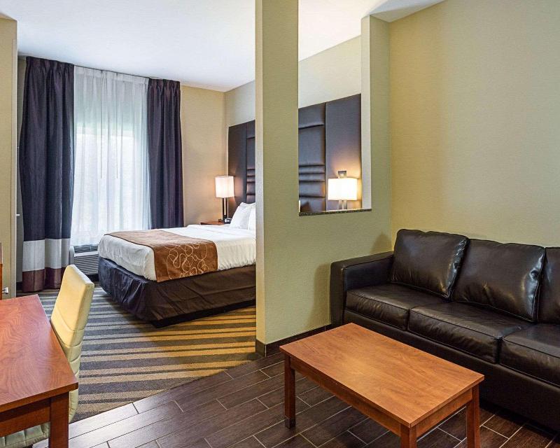 Comfort Suites South Gonzales image