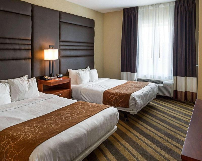 Comfort Suites South Gonzales image