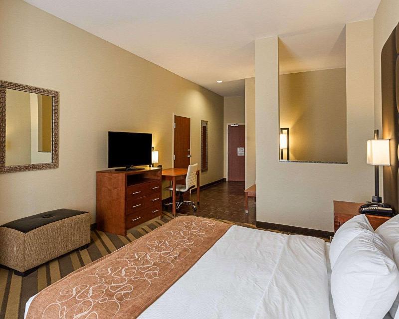 Comfort Suites South Gonzales image