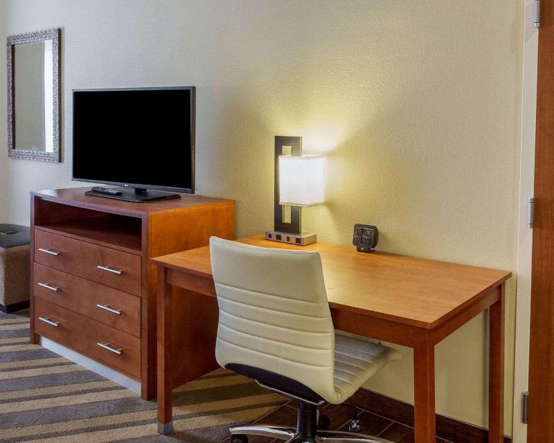 Comfort Suites South Gonzales image