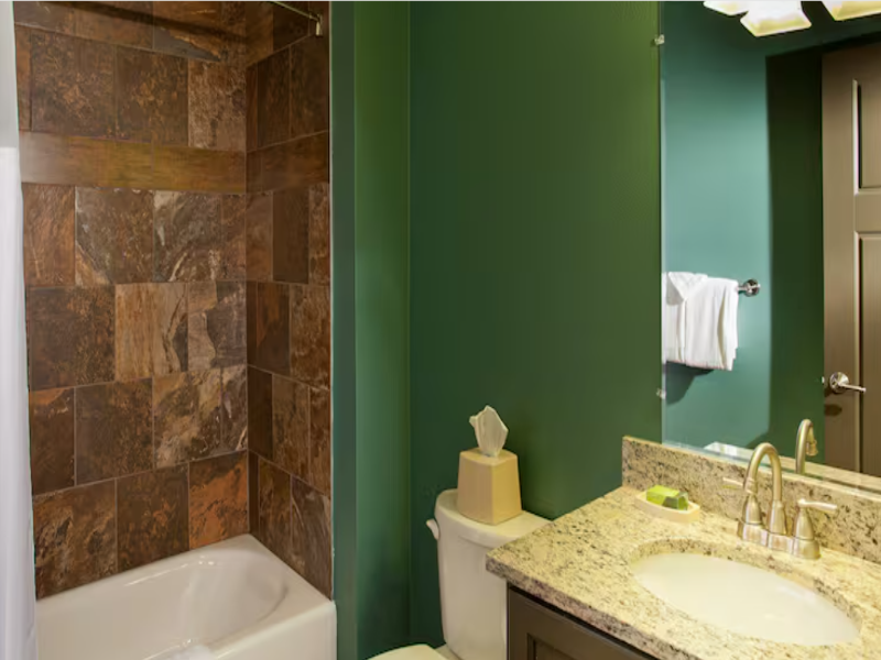 Hilton Vacation Club Christmas Mountain Village image