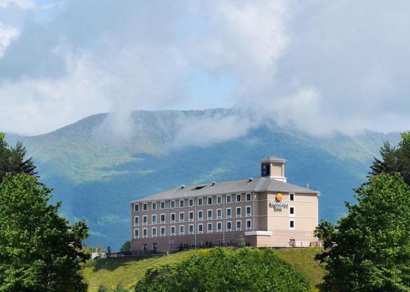 Comfort Inn Sylva - Cullowhee image