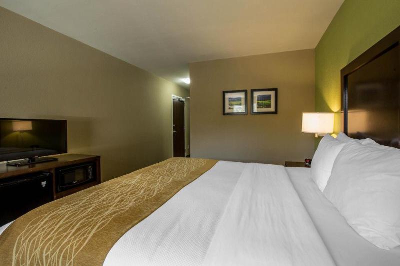 Comfort Inn Sylva - Cullowhee image