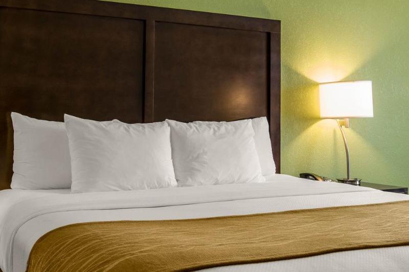 Comfort Inn Sylva - Cullowhee image