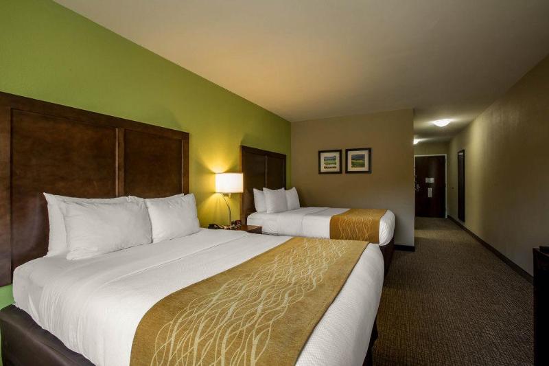 Comfort Inn Sylva - Cullowhee image