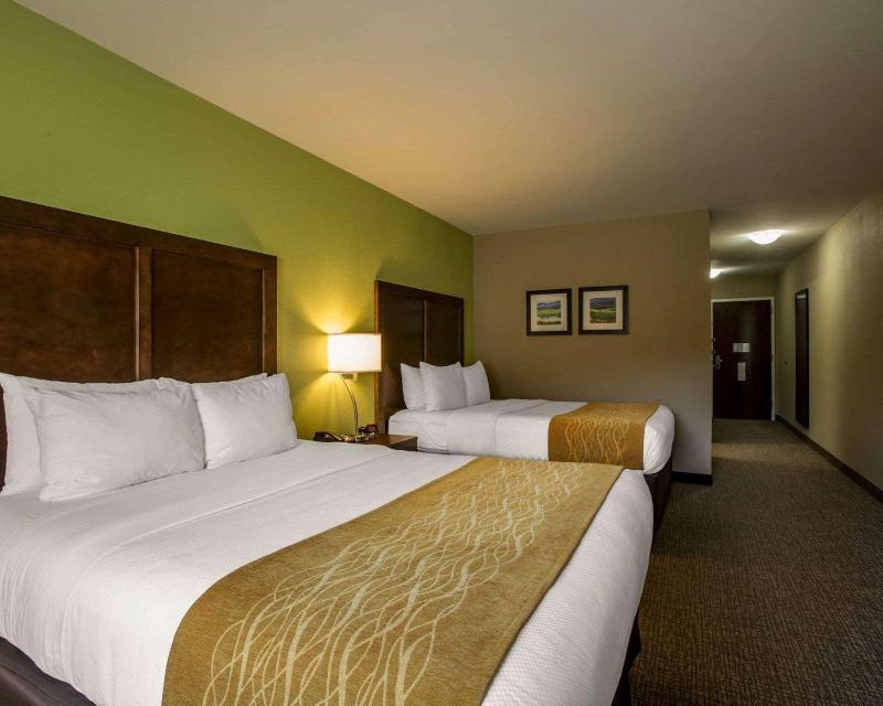 Comfort Inn Sylva - Cullowhee image