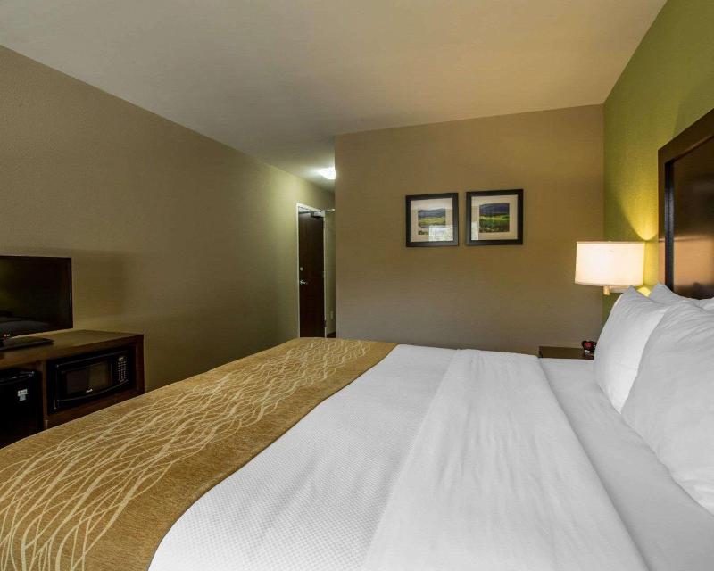 Comfort Inn Sylva - Cullowhee image