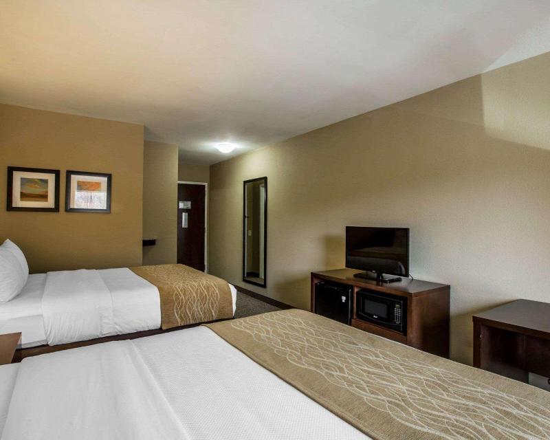Comfort Inn Sylva - Cullowhee image