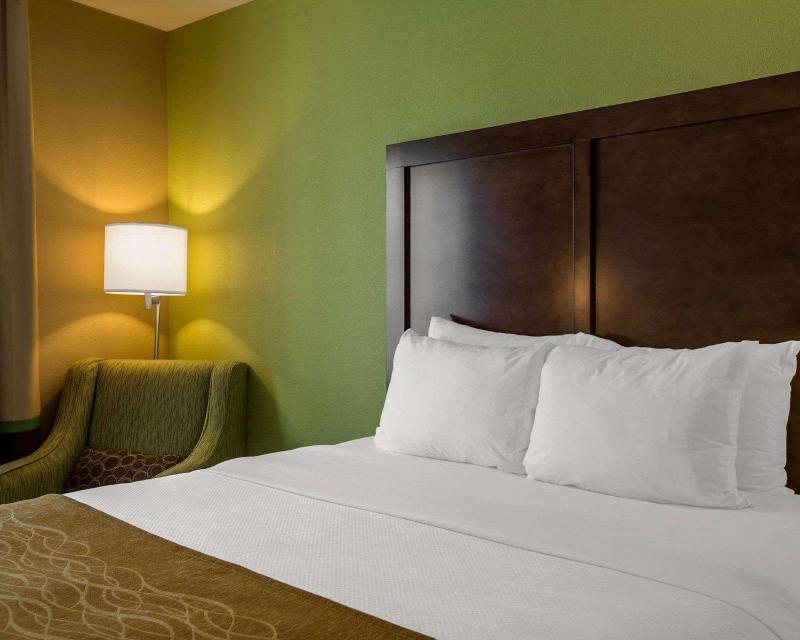 Comfort Inn Sylva - Cullowhee image