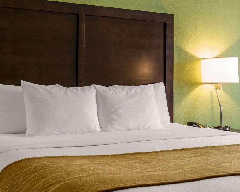 Comfort Inn Sylva - Cullowhee image