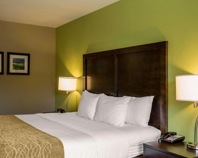 Comfort Inn Sylva - Cullowhee image