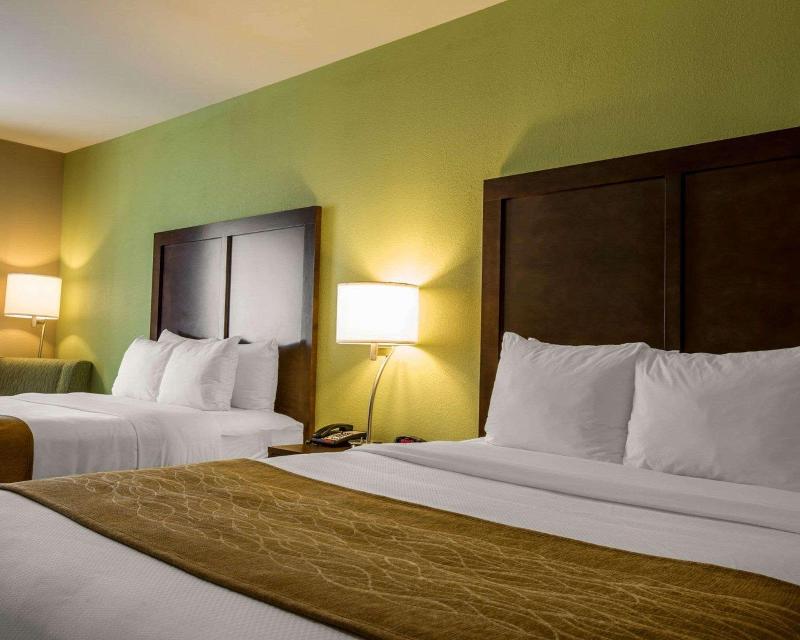 Comfort Inn Sylva - Cullowhee image