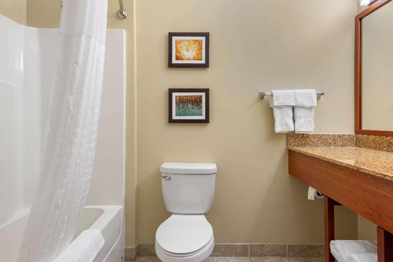 Comfort Inn & Suites Barnesville – Frackville image