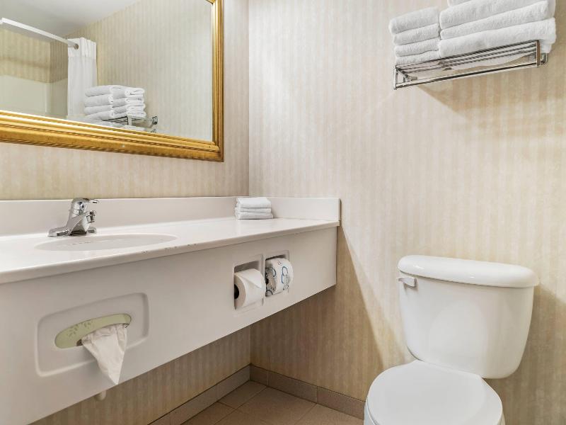 Quality Inn & Suites Manistique image