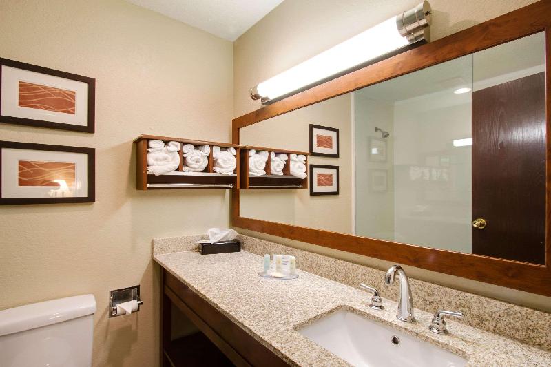 Comfort Inn & Suites Bellevue - Omaha Offutt AFB image