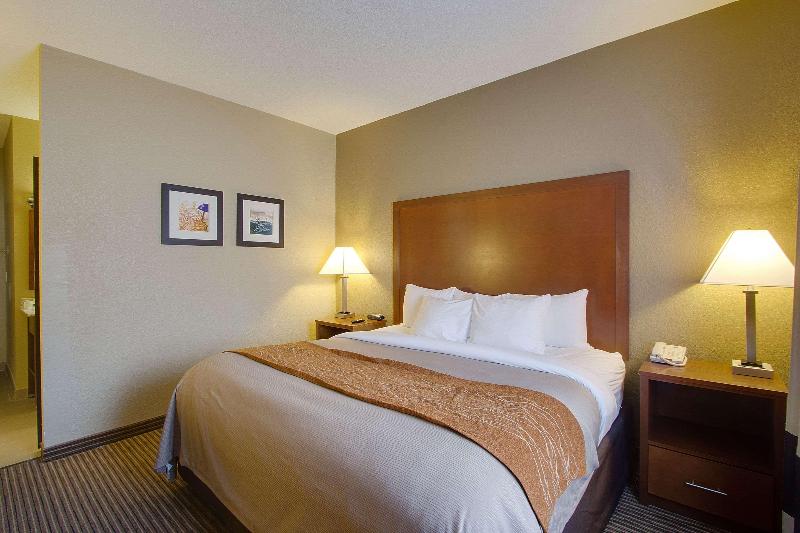 Comfort Inn & Suites Bellevue - Omaha Offutt AFB image