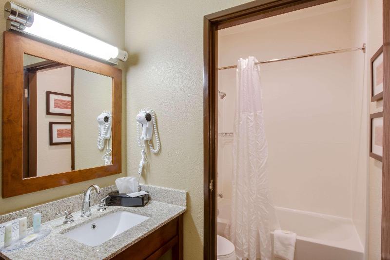 Comfort Inn & Suites Bellevue - Omaha Offutt AFB image