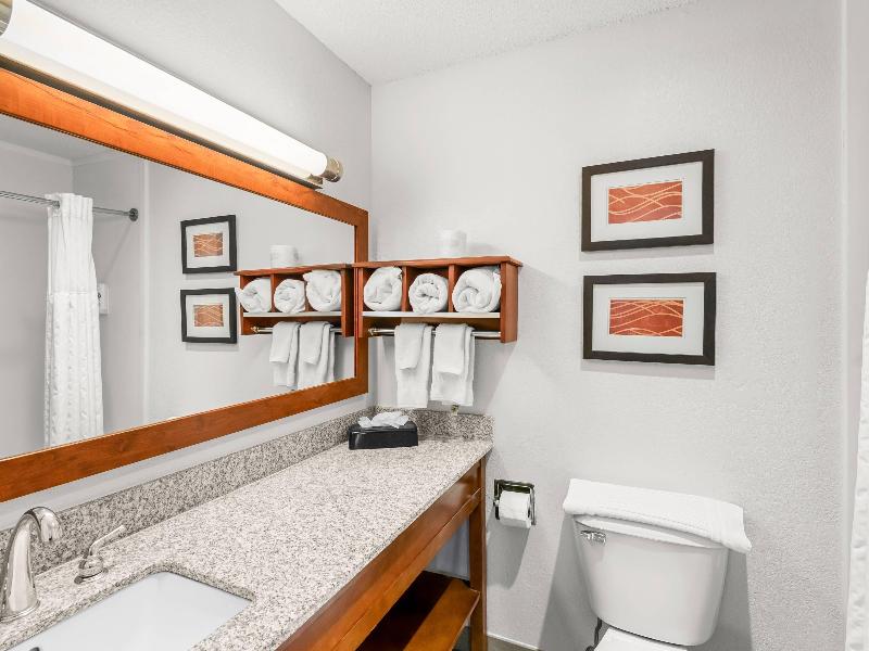Comfort Inn & Suites Bellevue - Omaha Offutt AFB image