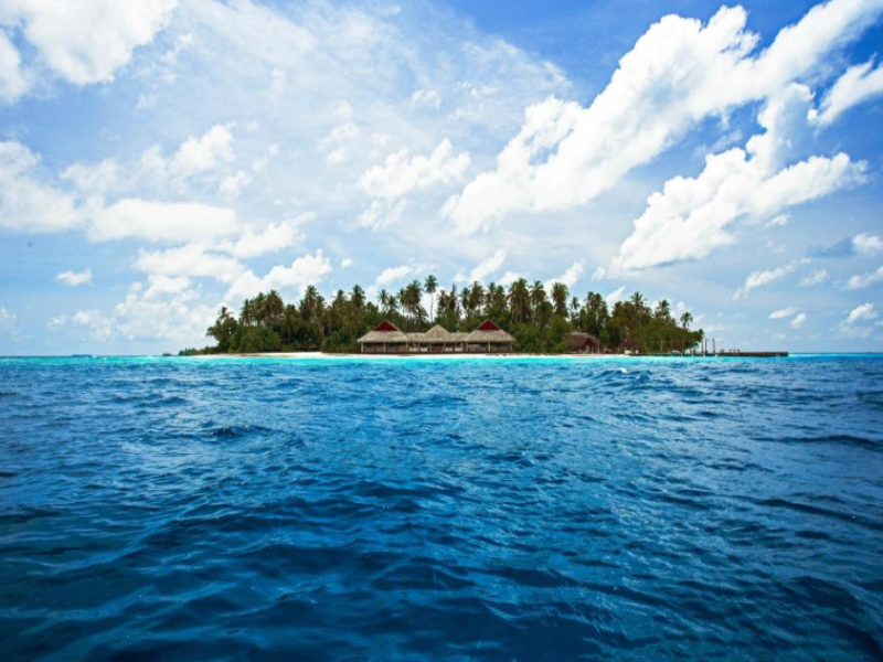 Malahini Kuda Bandos image