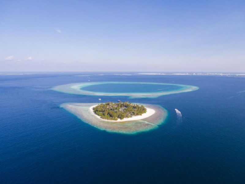 Malahini Kuda Bandos image