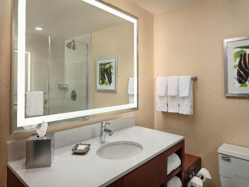 Holiday Inn Austin Town Lake image