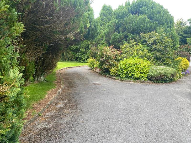 Palm Grove House image