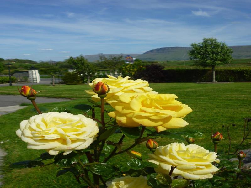 Rowanville Lodge image