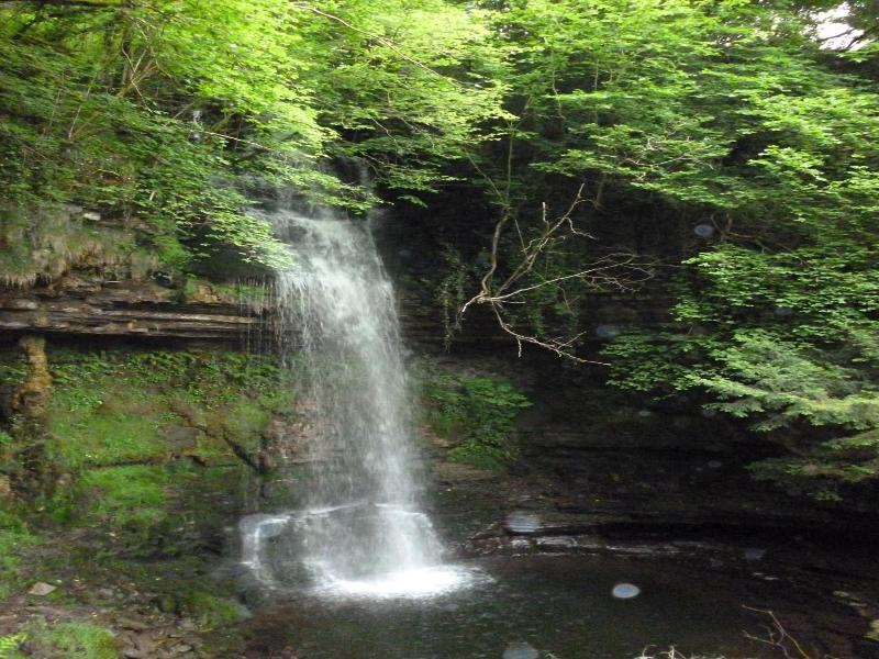 Rowanville Lodge image