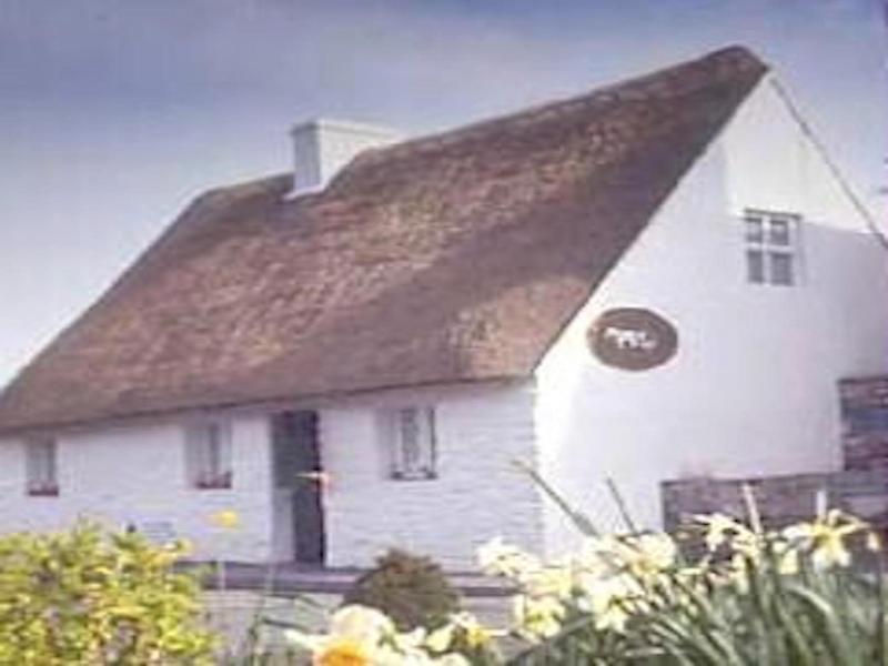 Michaeleen'S Manor image