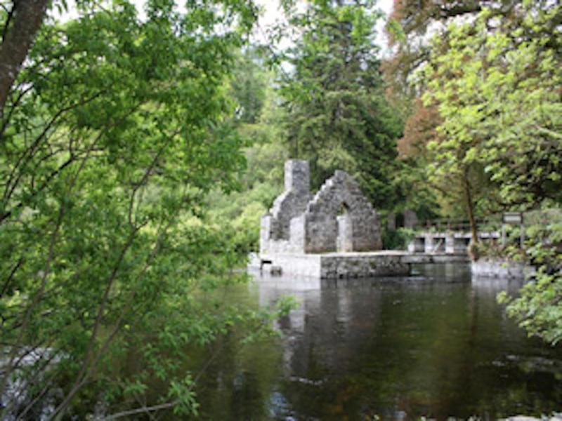 Michaeleen'S Manor image