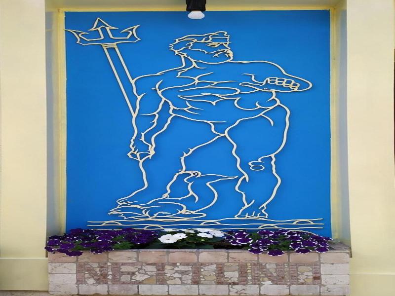 Hotel Nettuno image