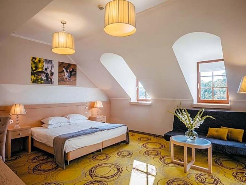 Hanza Paac Wellness & SPA image