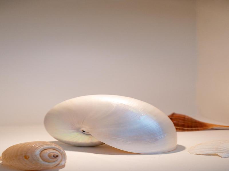 Anthea Boutique Hotel & Spa image