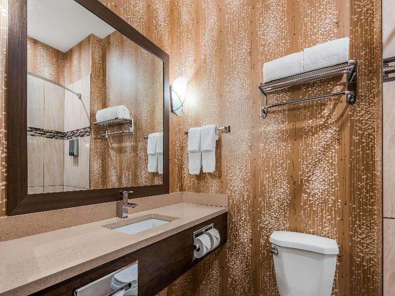 Best Western Plus Kindersley Hotel image
