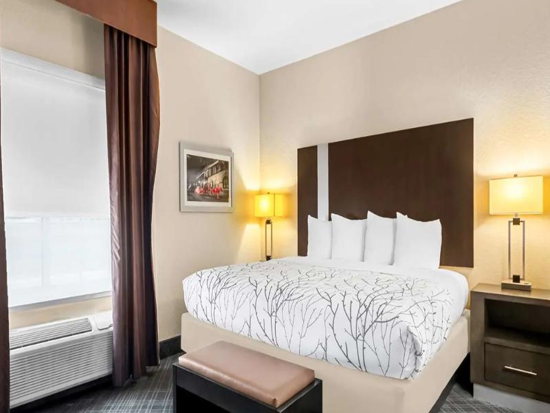 Best Western Boerne Inn & Suites image