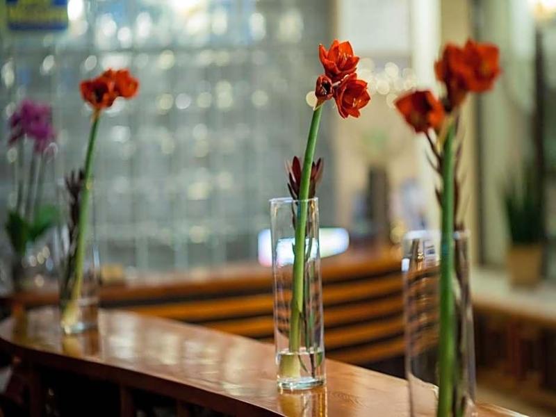 Hotel Park Sfantu Gheorghe image