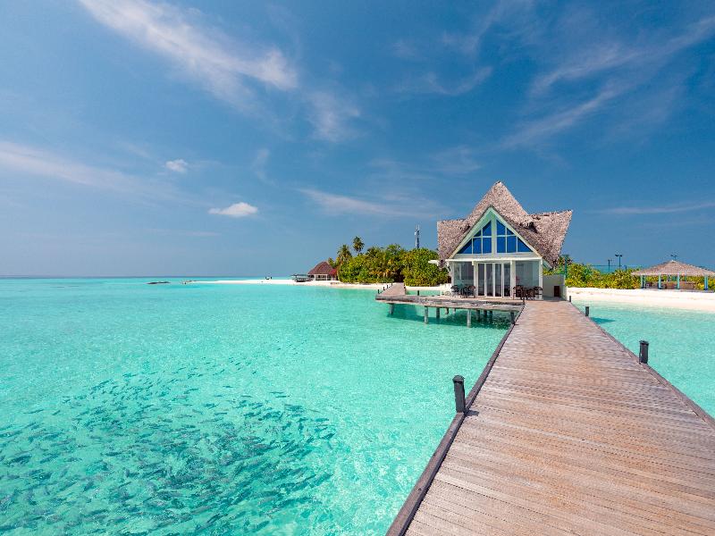 Dhigufaru Island Resort image