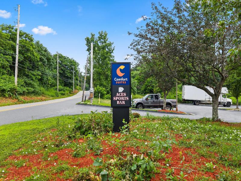 Comfort Suites Norwich image