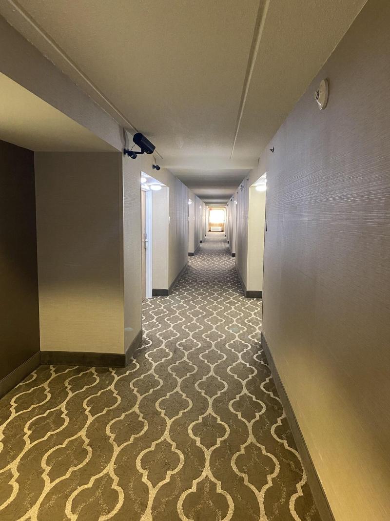 Comfort Suites Norwich image