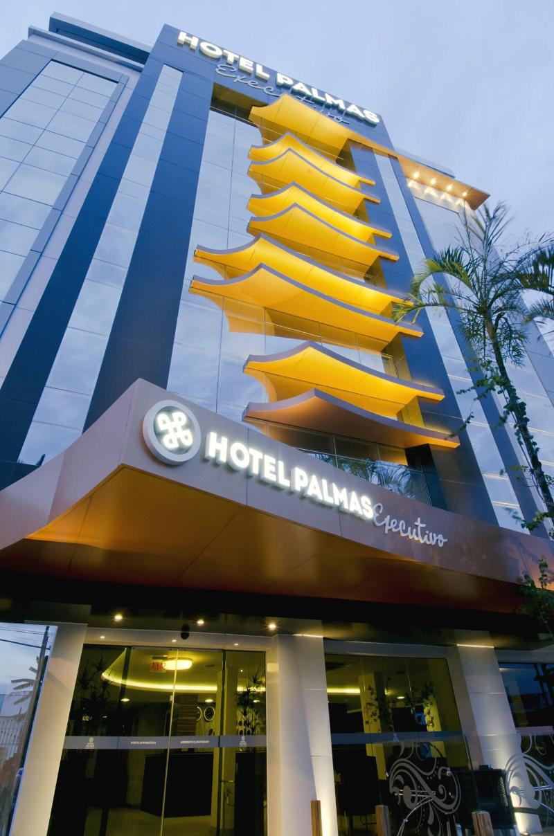 Palmas Executivo image