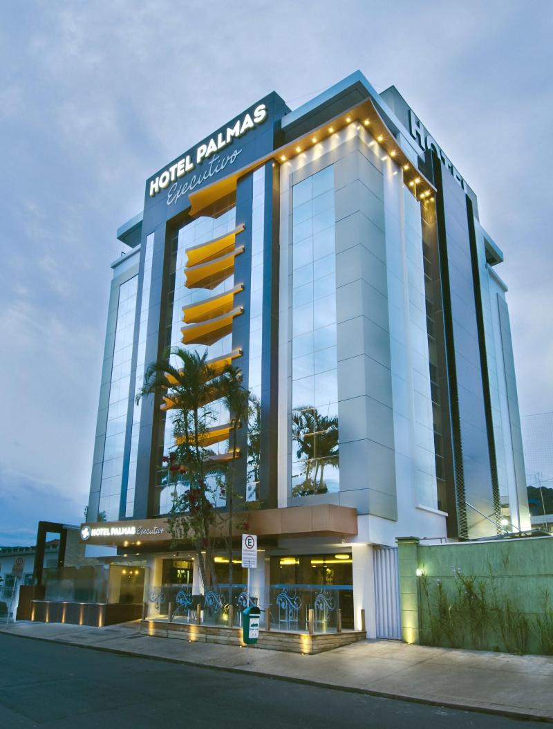 Palmas Executivo image