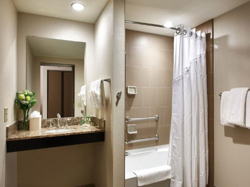 Holiday Inn & Suites Phoenix Airport North image