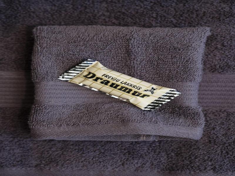 Freyja Guesthouse & Suites image