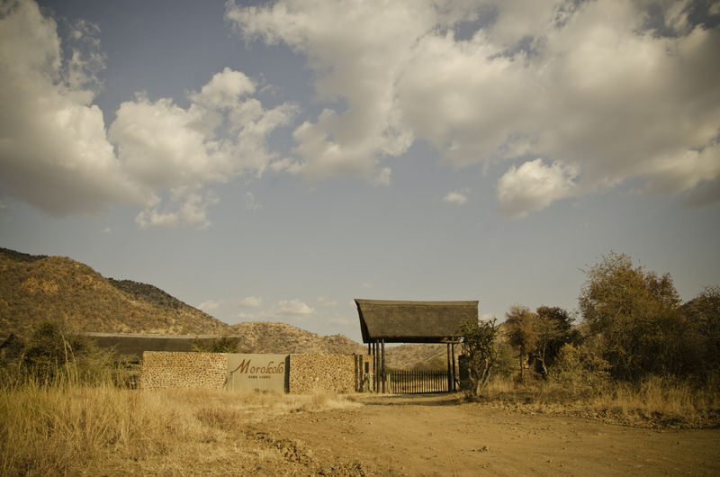Morokolo Safari Lodges